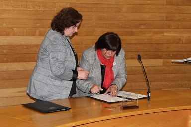 Tehuelche Noticias