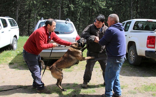 tehuelche noticias Aysen