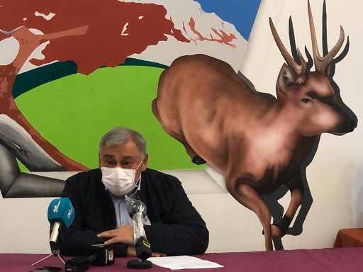 tehuelche noticias Aysen
