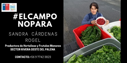 tehuelche noticias Aysen