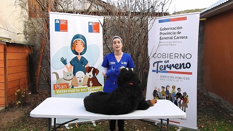 tehuelche noticias Aysen