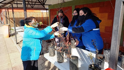 tehuelche noticias Aysen