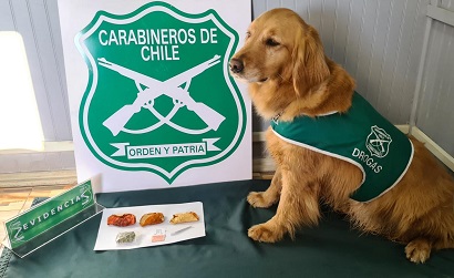 tehuelche noticias Aysen