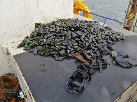 tehuelche noticias Aysen