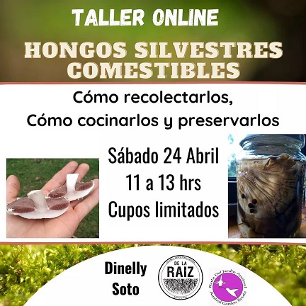 tehuelche noticias Aysen