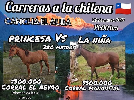 Tehuelche Noticias