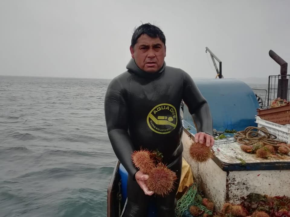 tehuelche noticias Aysen